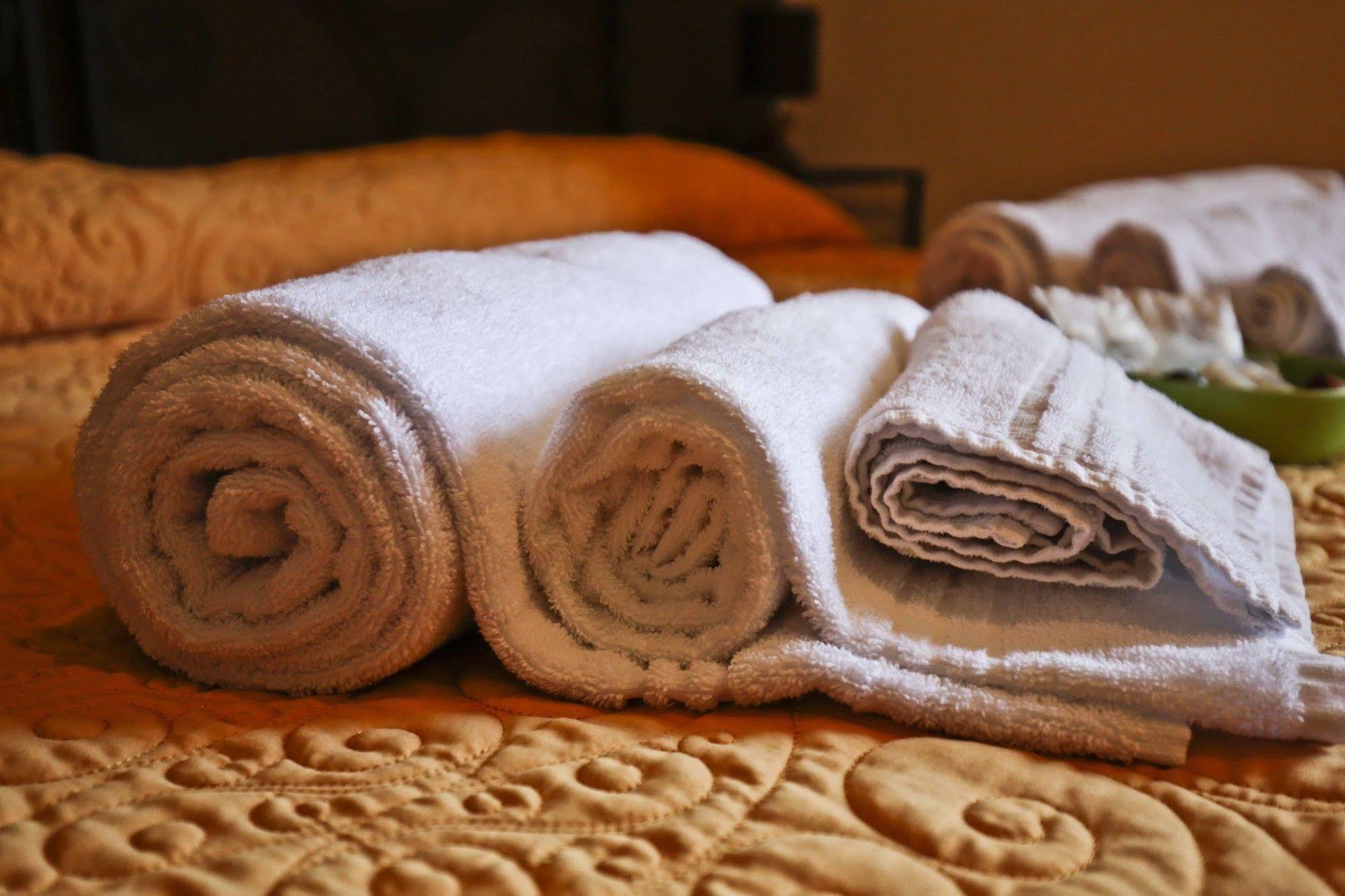 Hotel Villa Maria Luigia Frascati Extérieur photo