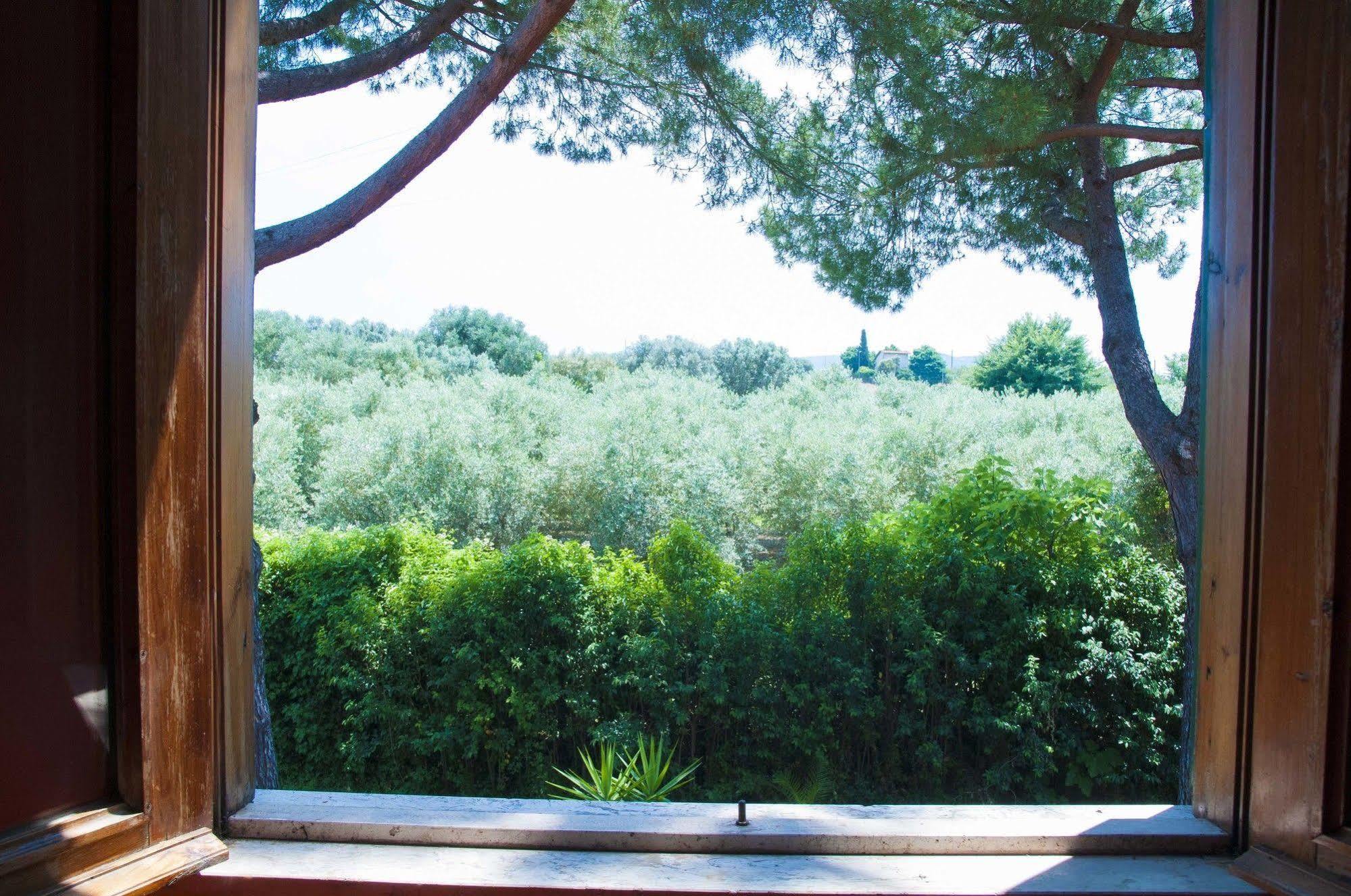 Hotel Villa Maria Luigia Frascati Extérieur photo