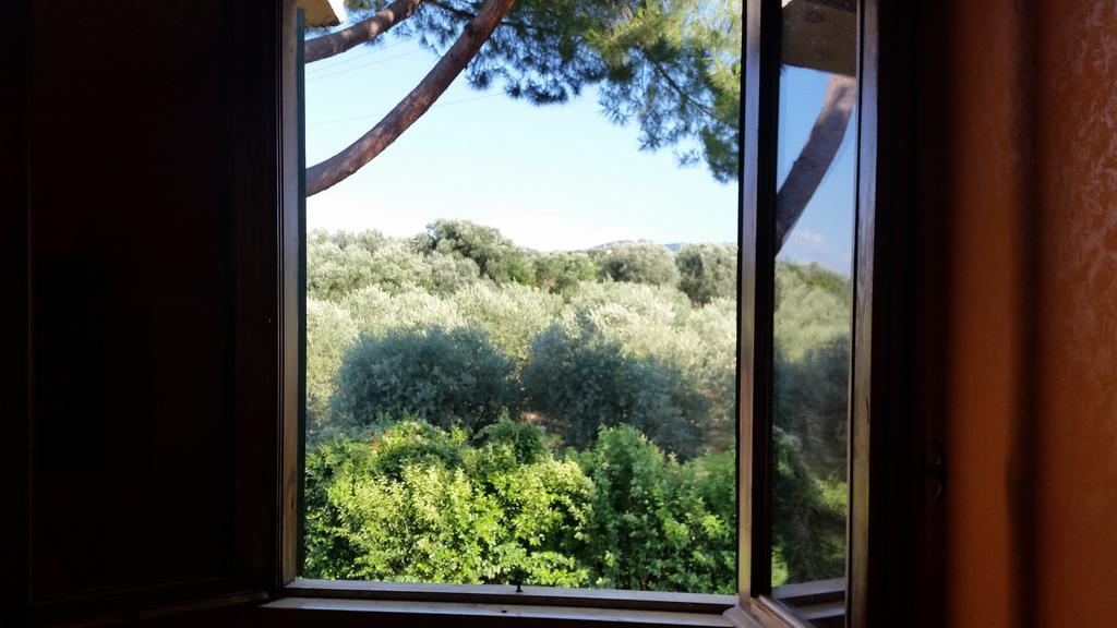 Hotel Villa Maria Luigia Frascati Chambre photo